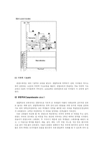 [비교교육론] 핀란드 교육-3