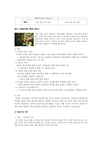[문학] 패러디 탐구 -백설공주와 흑설공주-11