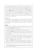 [교수학습이론] 피아제와 비고스키-5