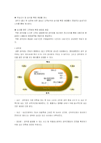 [레저산업론] 경륜-11
