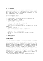[마케팅] 삼성 래미안, 롯데제과 나뚜루의 마케팅 전략 사례-12