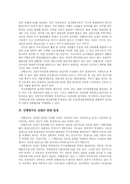 [신행정수도] 신행정수도 건설의 찬성 반대 입장과 쟁점 및 과제-6