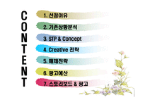 [광고론] 신라면 광고기획서-2