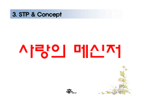 [광고론] 신라면 광고기획서-13