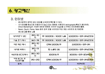 [광고론] 신라면 광고기획서-19