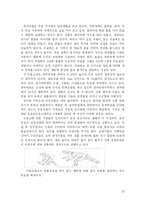 북한의 인권과 대응책-12