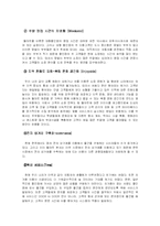 [국제환경] 월마트(Walmart)의 해외직접투자-7
