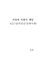 기업의 사회적 책임 -CJ그룹의성공, 실패사례-10