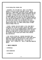 [마케팅] 하이트 프리미엄 맥주 `프라임 맥스`(MAX) 마케팅 기획안-13
