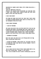 [마케팅] 하이트 프리미엄 맥주 `프라임 맥스`(MAX) 마케팅 기획안-15