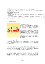 [인사관리] 로레알 인사관리시스템 -채용방법 분석-13