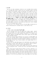 [보육학] 하이 스코프 프로그램-2