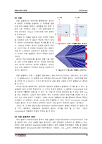 [일반물리실험] Michelson-Moley 간섭계(빛의 파장 측정)-6