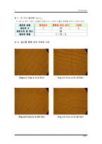 [생물] 양파 표피 세포의 삼투압연구-7