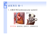 [생체학] 생체역학의 개요-4