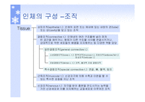 [생체학] 생체역학의 개요-17
