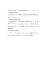 [화학실험] 유리공작-4