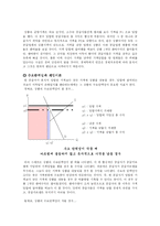 [경제원론] 게임 이론 분석-5