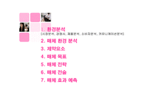 [광고기획] 케라시스의 매체전략기획-2