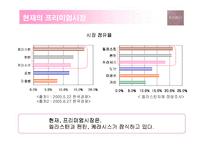 [광고기획] 케라시스의 매체전략기획-5