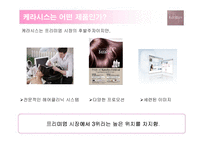 [광고기획] 케라시스의 매체전략기획-6