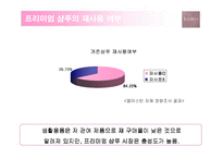 [광고기획] 케라시스의 매체전략기획-12