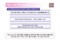 [광고기획] 케라시스의 매체전략기획-14