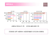 [광고기획] 케라시스의 매체전략기획-19