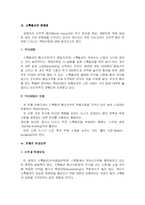 [재무회계] 회계 윤리교육의 필요성 -삼성가, 스톡옵션-19