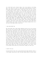 언어와 인지의 기초 Chomsky의 생득주의 이론과 관련된 발달 이론 탐구-4