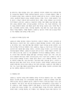 뉴발란스의 성공적인 성장 배경과 마케팅 접근법 분석 및 미래 전략 제안-2