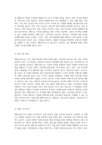 에뛰드하우스의 마케팅 전략 4P와 STP 분석을 통한 향후 방향성 모색-4