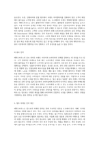 에뛰드하우스의 마케팅 전략 4P와 STP 분석을 통한 향후 방향성 모색-7