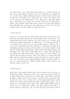 에뛰드하우스의 소비자 경영 마케팅 전략 분석 브랜드의 성장과 방향성-3