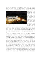 [디자인] 굿디자인-5