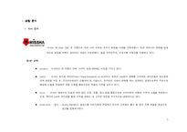 [광고매체계획론] 미샤 광고 집행을 위한 매체 계획 기획서-4