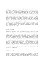 의학 용어의 기초를 이해하기 위한 필수 요소들 접두사와 접미사의 역할-2