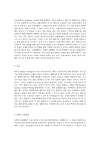 의학적 관점에서 바라본 중요한 감염병의 분류와 특성-5
