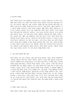 반영구 화장의 본질, 기술적 접근 및 비전문가 시술의 법적 정당성에 대한 다각적 분석-3