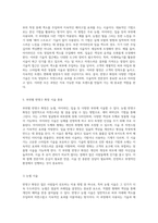 반영구 화장의 본질, 기술적 접근 및 비전문가 시술의 법적 정당성에 대한 다각적 분석-4