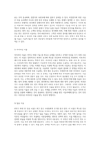반영구 화장의 본질, 기술적 접근 및 비전문가 시술의 법적 정당성에 대한 다각적 분석-5