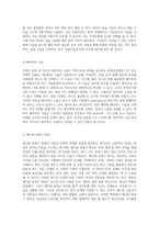반영구 화장의 본질, 기술적 접근 및 비전문가 시술의 법적 정당성에 대한 다각적 분석-6