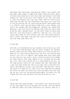 반영구 화장의 본질, 기술적 접근 및 비전문가 시술의 법적 정당성에 대한 다각적 분석-8