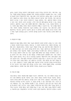 반영구 화장의 본질, 기술적 접근 및 비전문가 시술의 법적 정당성에 대한 다각적 분석-9