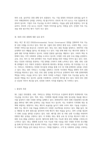 한국 기업의 ESG 적용 현황에 대한 심층적 분석 SK 사례 연구를 중심으로-4