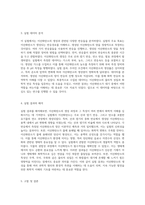 이산화탄소의 생성과 특성 연구를 통한 화학적 이해의 심화-2