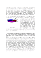[마케팅] 프리미엄 마케팅에 대한 소비자의 반응 연구-9