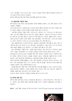 [유통관리] 성공적인 명품 아울렛 타운을 위한 마케팅 전략-11
