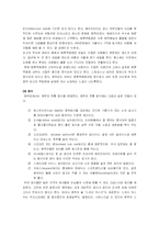 [유통관리] 성공적인 명품 아울렛 타운을 위한 마케팅 전략-14