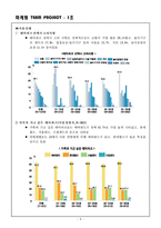 [마케팅] 롯데월드 사고를 통한 마케팅분석과 개선방안-6